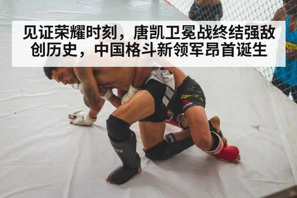MMA fighter knockout