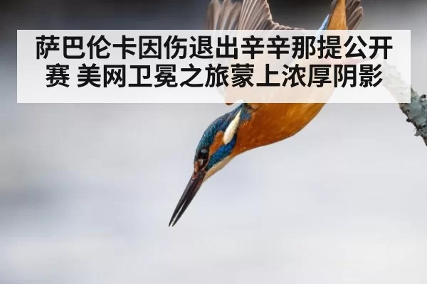 萨巴伦卡因伤退出辛辛那提公开赛 美网卫冕之旅蒙上浓厚阴影